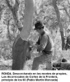 Icon of RONDA. Descorchando en los Montes de Propios, Alcornocales de Cortes de la Frontera
